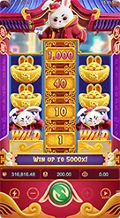 a77 · Fortune Rabbit